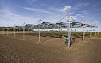 Einweihung Agri-PV-Forschungsanlage | Bildquelle: Universität Hohenheim / Thomas Klink